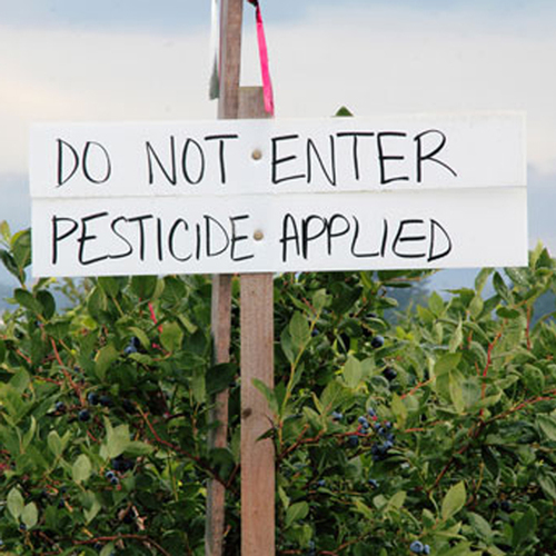Pesticides