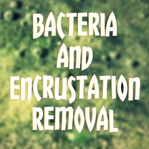 well bacteria blog post